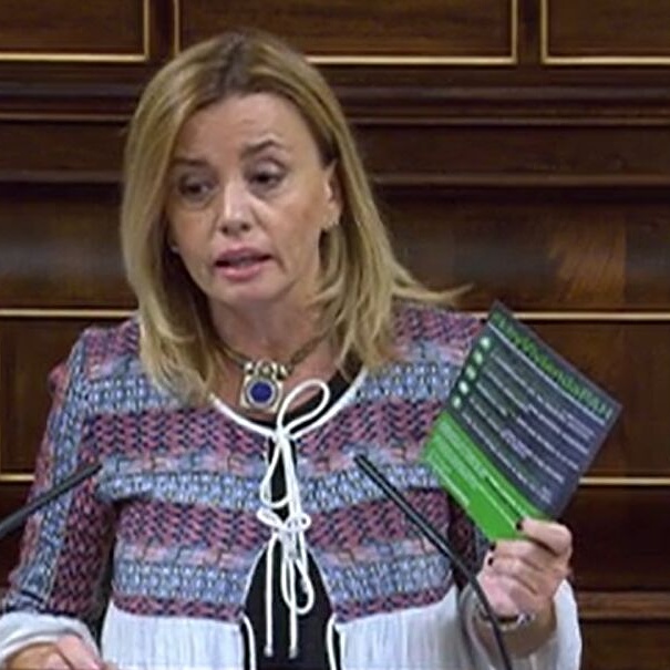 Lee más sobre el artículo EL PP SE COMPROMETE PÚBLICAMENTE A APOYAR LA LEY DE VIVIENDA DE LA PAH